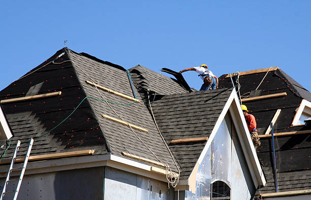 Roof Gutter Cleaning in Paris, MO