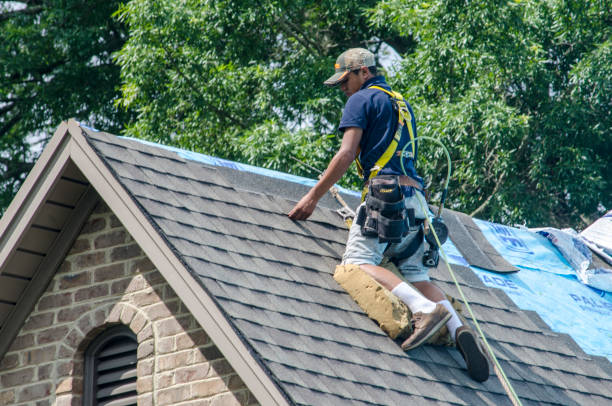 Best Storm Damage Roof Repair  in Paris, MO